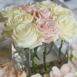 Buttercream and pale pink roses in glass cube