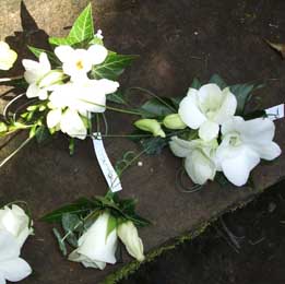 Dendrobium, rose and freesia corsages