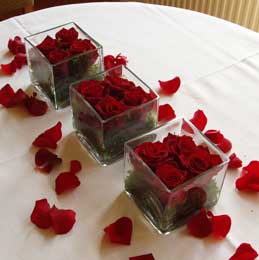 Rose and moss glass cubes