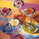 Gerbera in Balloon Vases