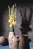 Gladioli in Clay Pot