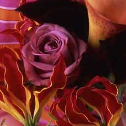 Roses, gloriosa and calla lillies