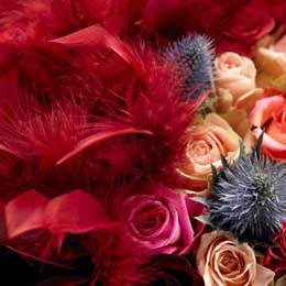 Roses and eryngium