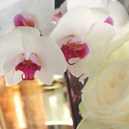 Phalaenopsis orchid and rose