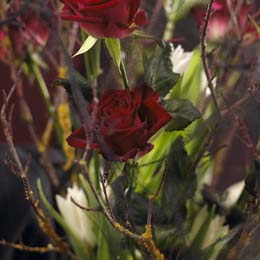 Deep red roses and white longiflorum lilies